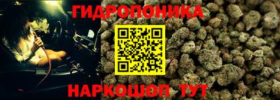 бошки Заволжье