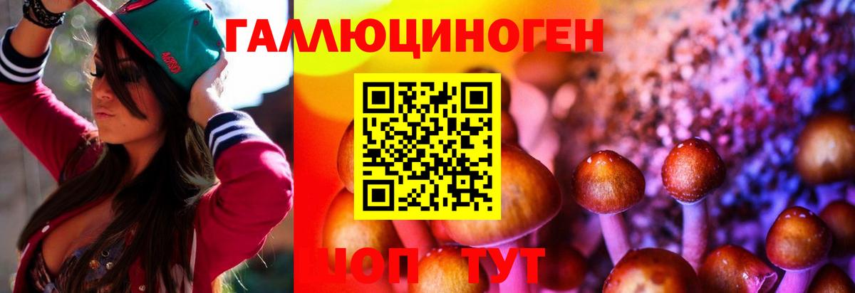 Галлюциногенные грибы ЛСД Кыштым